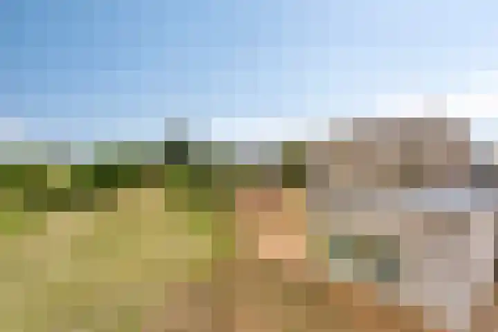 Bergervliet 44 Berg en Terblijt thumbnail 34