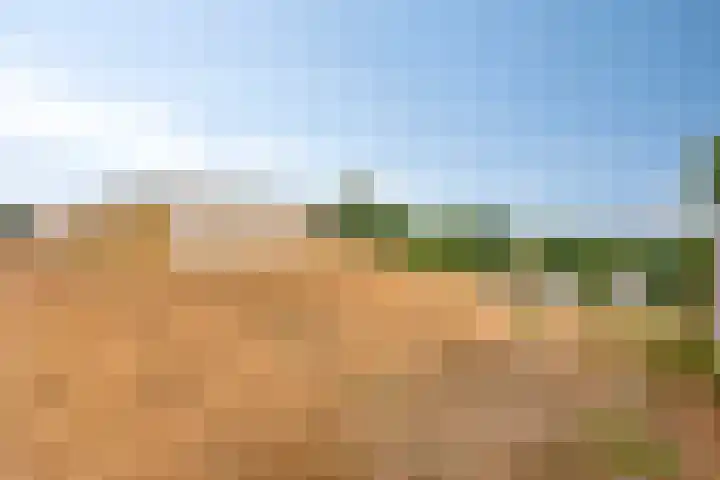 Bergervliet 44 Berg en Terblijt thumbnail 5