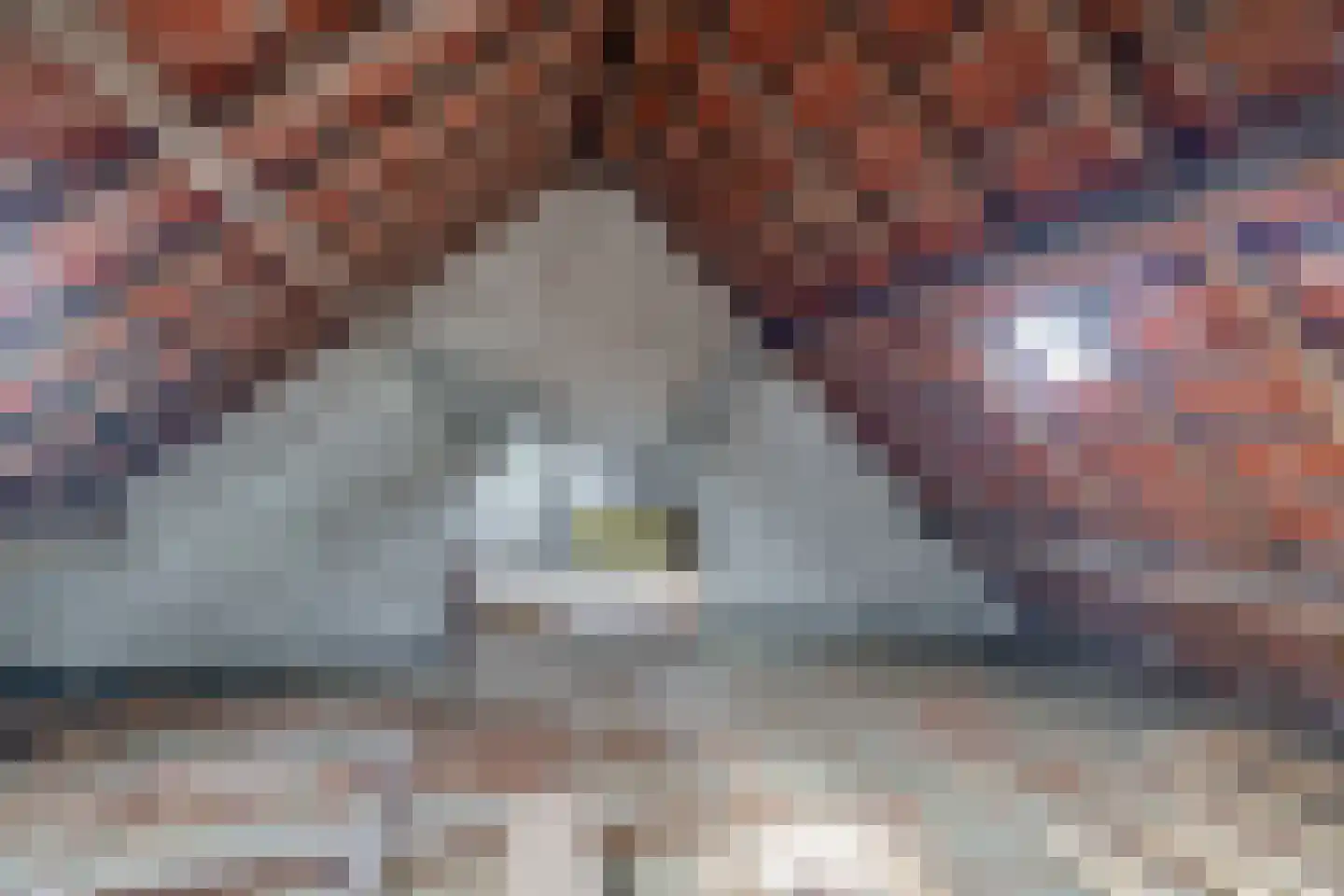 Bergerweg 10 Vlodrop thumbnail 39