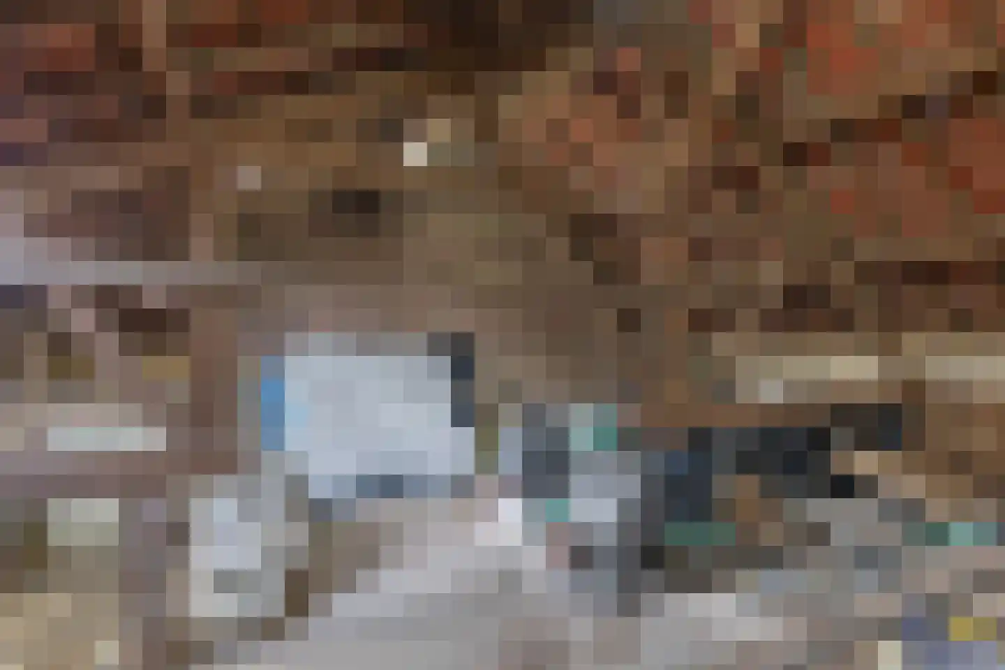Bergerweg 10 Vlodrop thumbnail 54