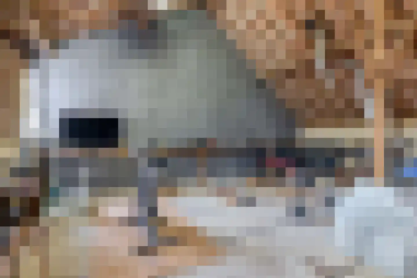 Bergerweg 10 Vlodrop thumbnail 55