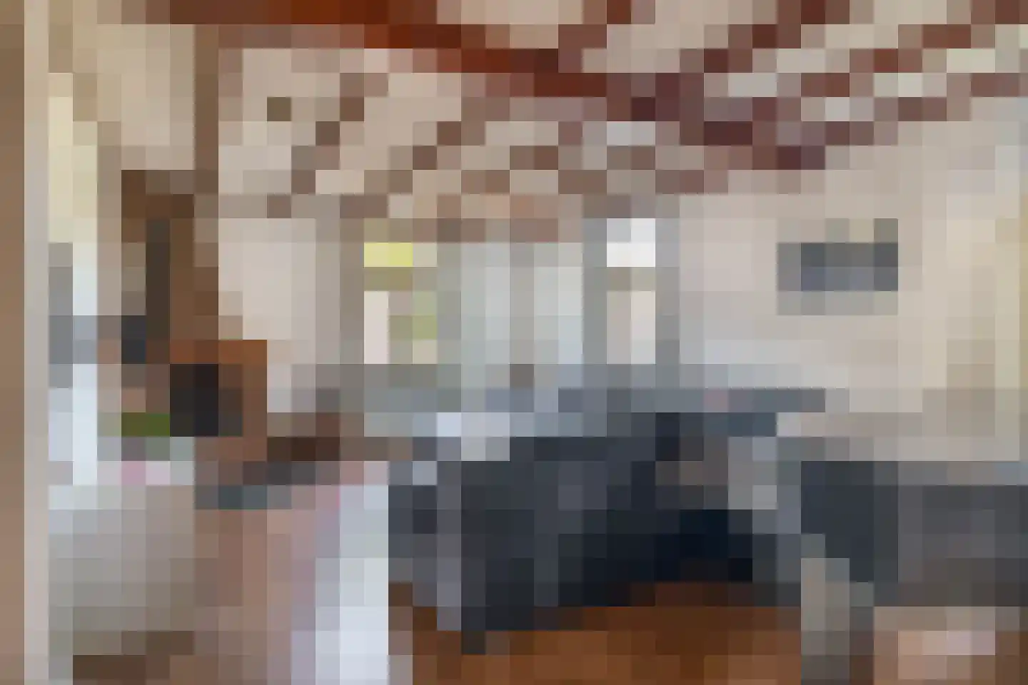 Bergerweg 10 Vlodrop thumbnail 9