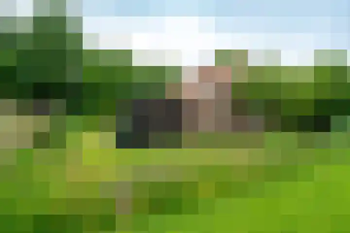Bergerweg 108 Alkmaar thumbnail 15