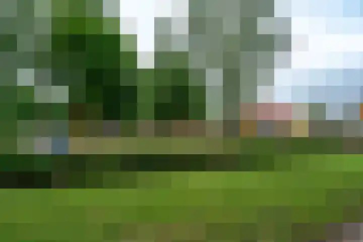 Bergerweg 108 Alkmaar thumbnail 17