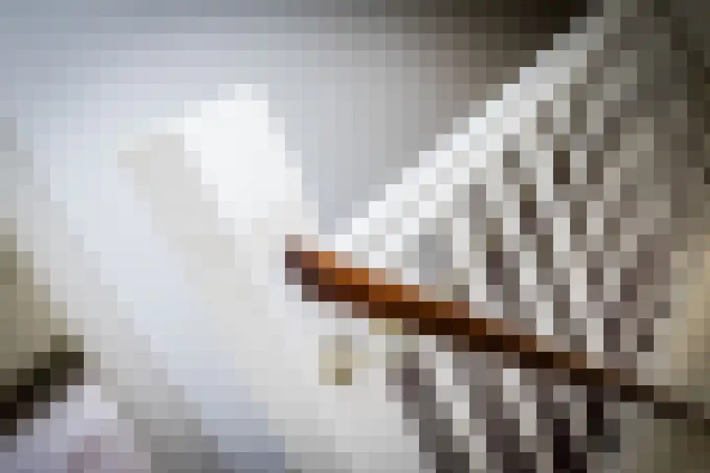 Bergerweg 11 Nuth thumbnail 17