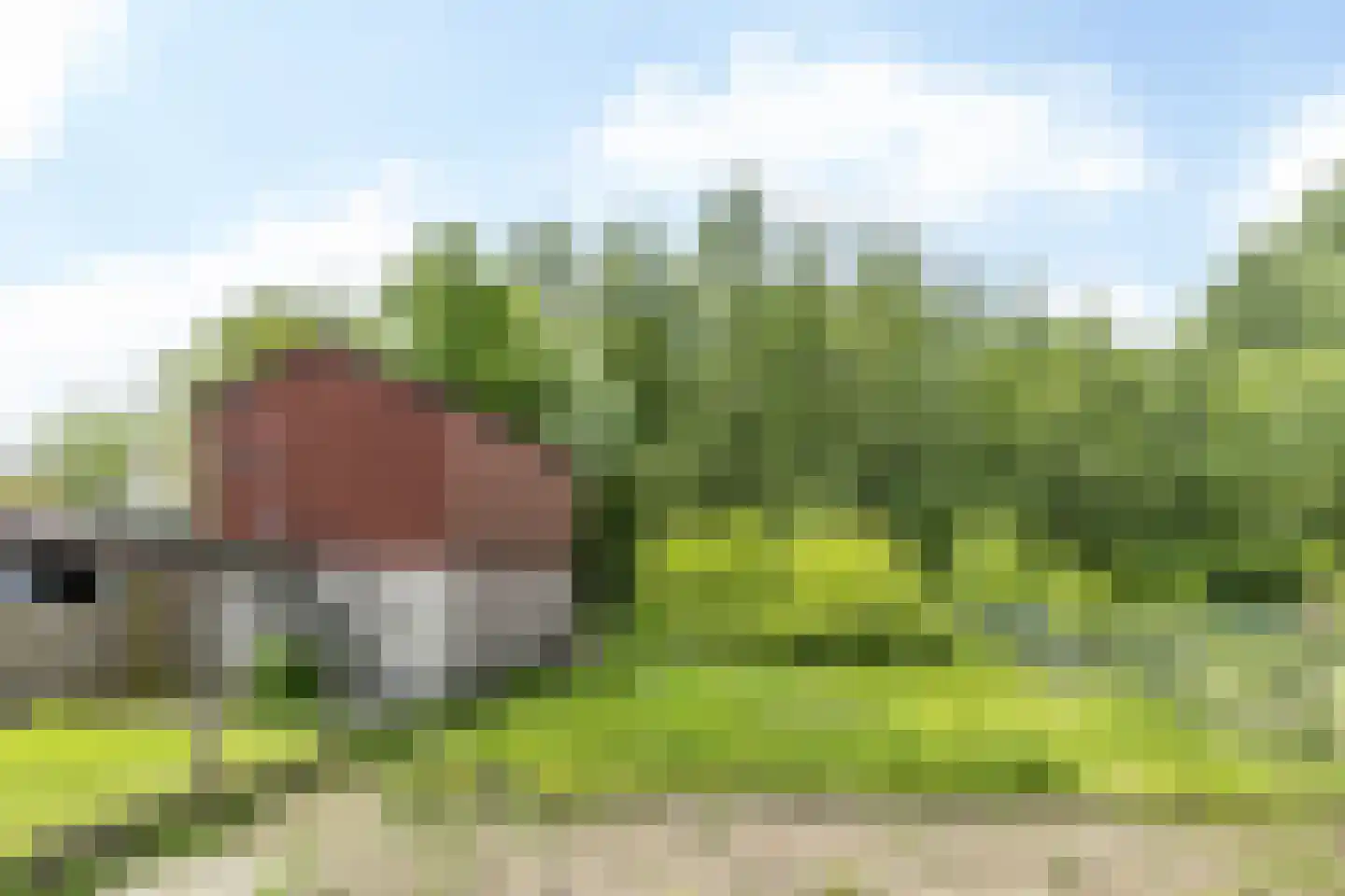 Bergerweg 11 Nuth thumbnail 25