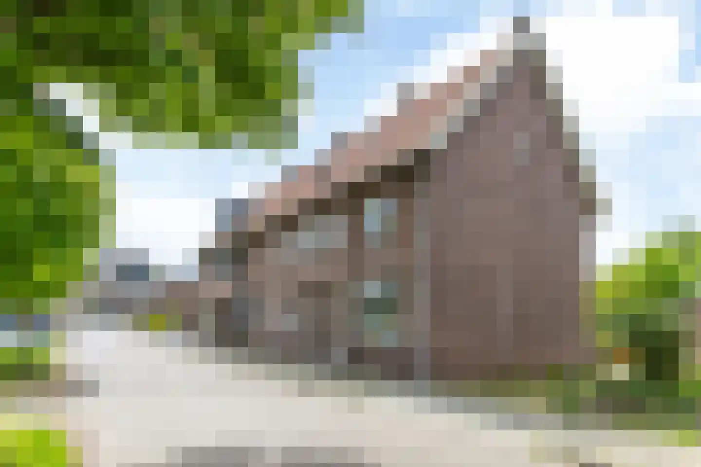 Bergerweg 11 Nuth thumbnail 31