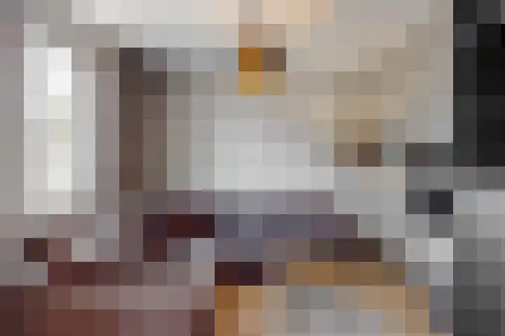Bergerweg 13 Vlodrop thumbnail 14