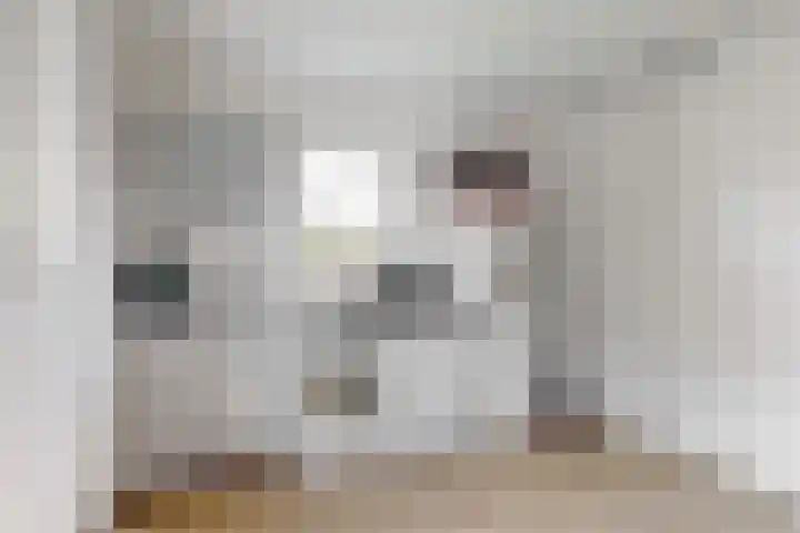 Bergerweg 13 Vlodrop thumbnail 18