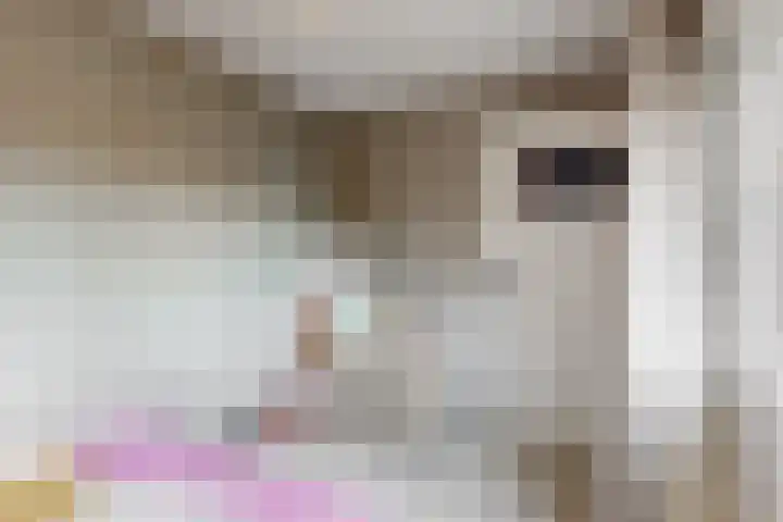 Bergerweg 13 Vlodrop thumbnail 22