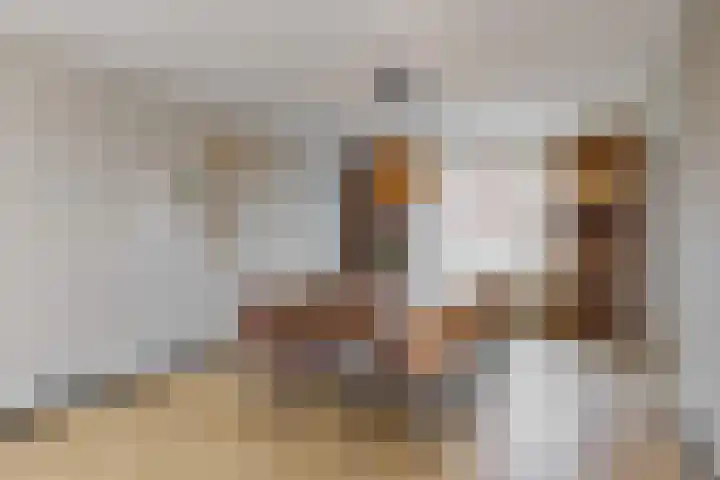Bergerweg 13 Vlodrop thumbnail 9