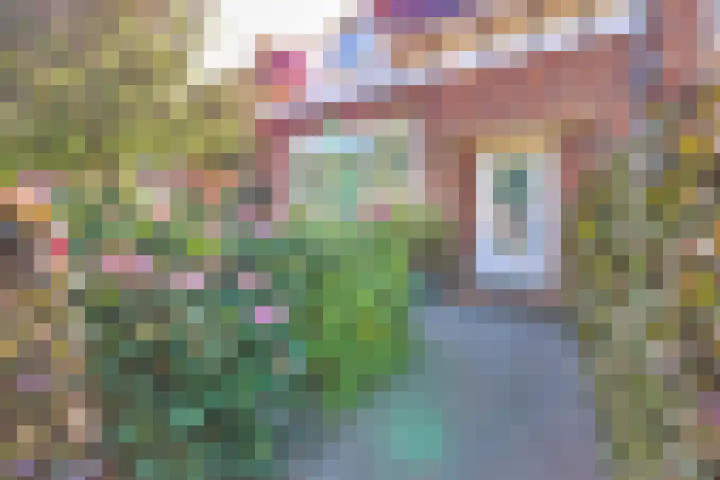 Bergerweg 14 Bergen (NH) thumbnail 7
