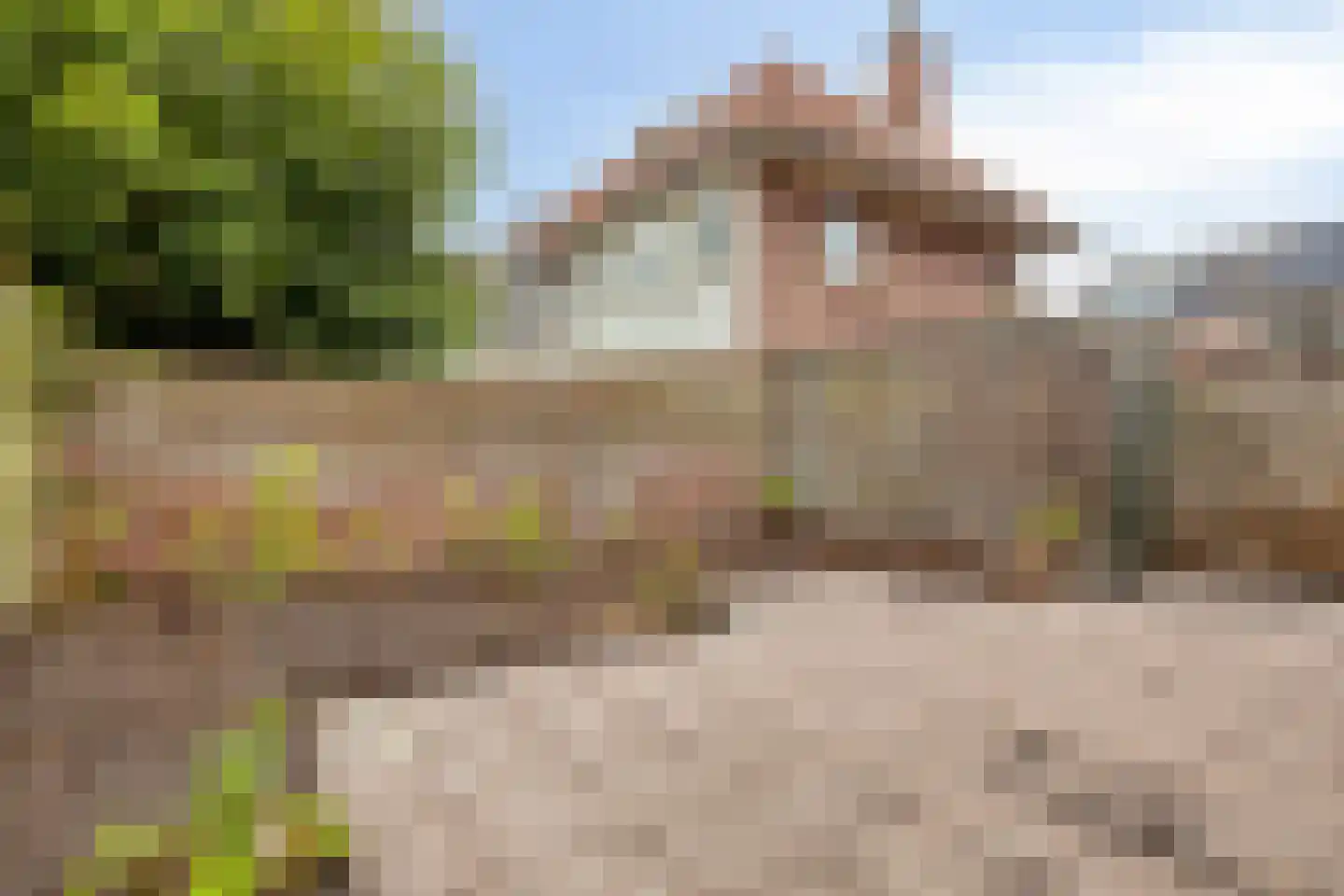 Bergerweg 15 Alkmaar thumbnail 22