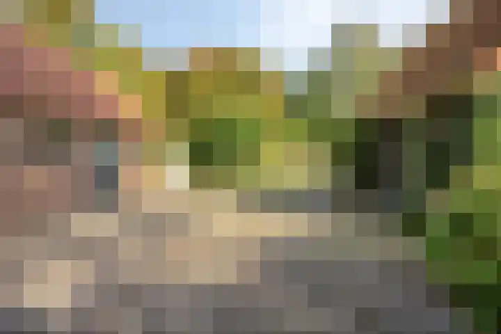 Bergerweg 173 Alkmaar thumbnail 22