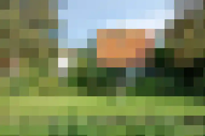Bergerweg 173 Alkmaar thumbnail 30