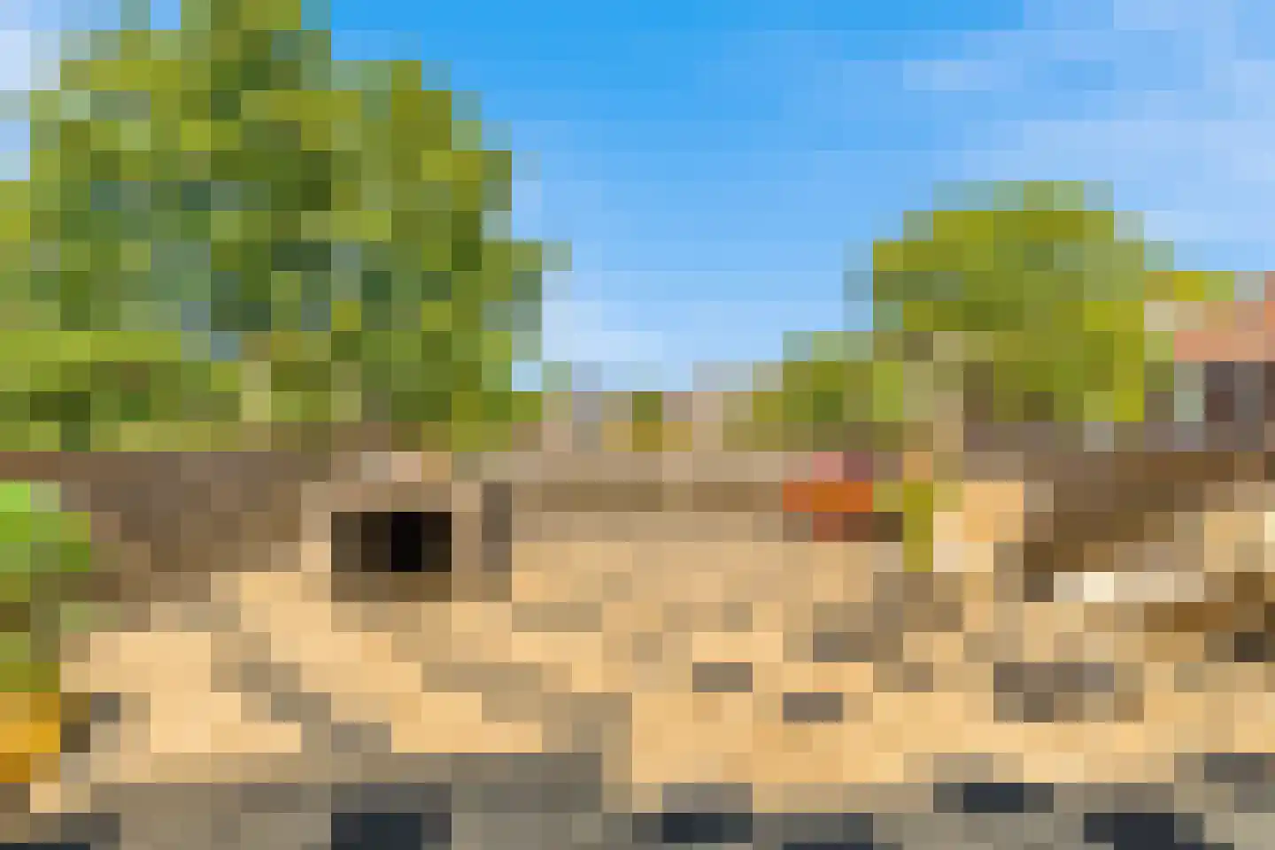 Bergerweg 2 Alkmaar thumbnail 16