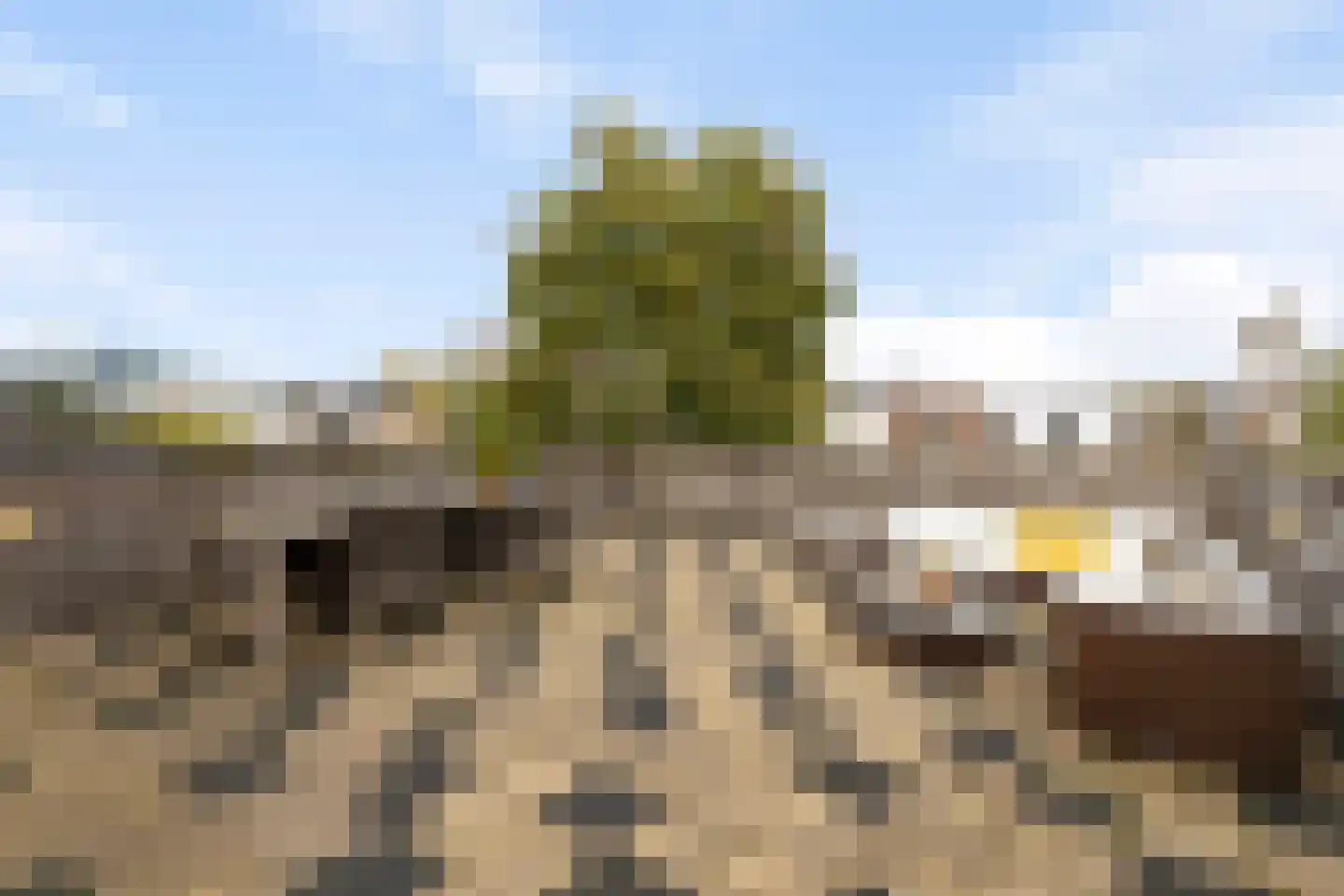 Bergerweg 2 Alkmaar thumbnail 18