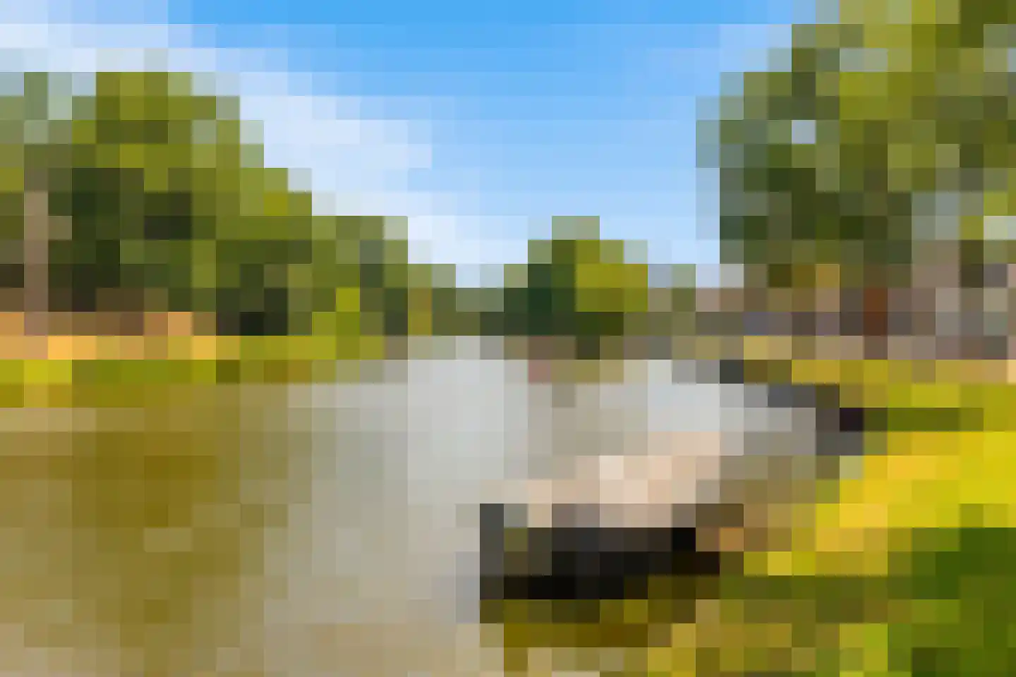 Bergerweg 2 Alkmaar thumbnail 36