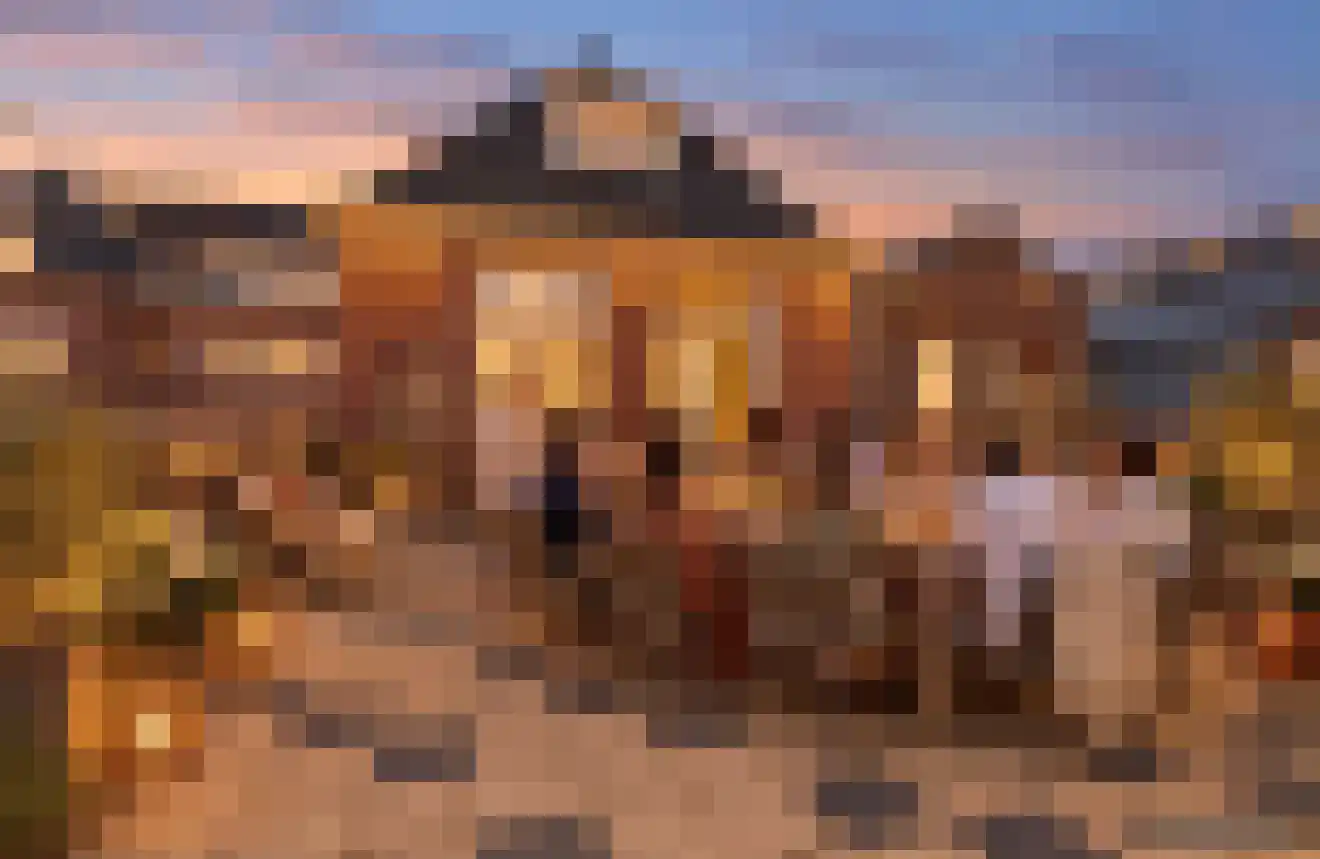 Bergerweg 2 Alkmaar thumbnail 6
