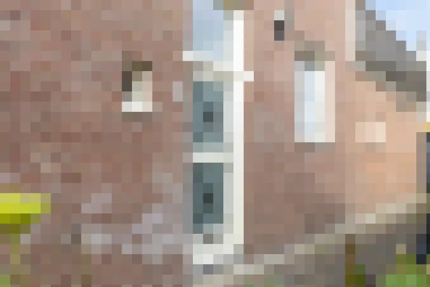 Bergerweg 2 Alkmaar thumbnail 7