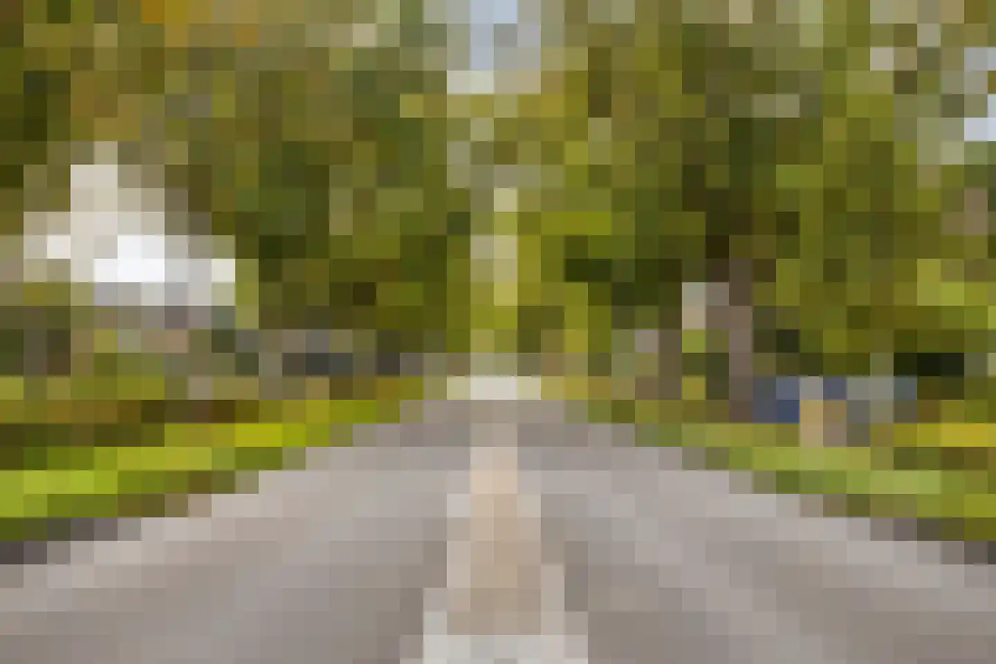 Bergerweg 20 B Bergen (NH) thumbnail 39
