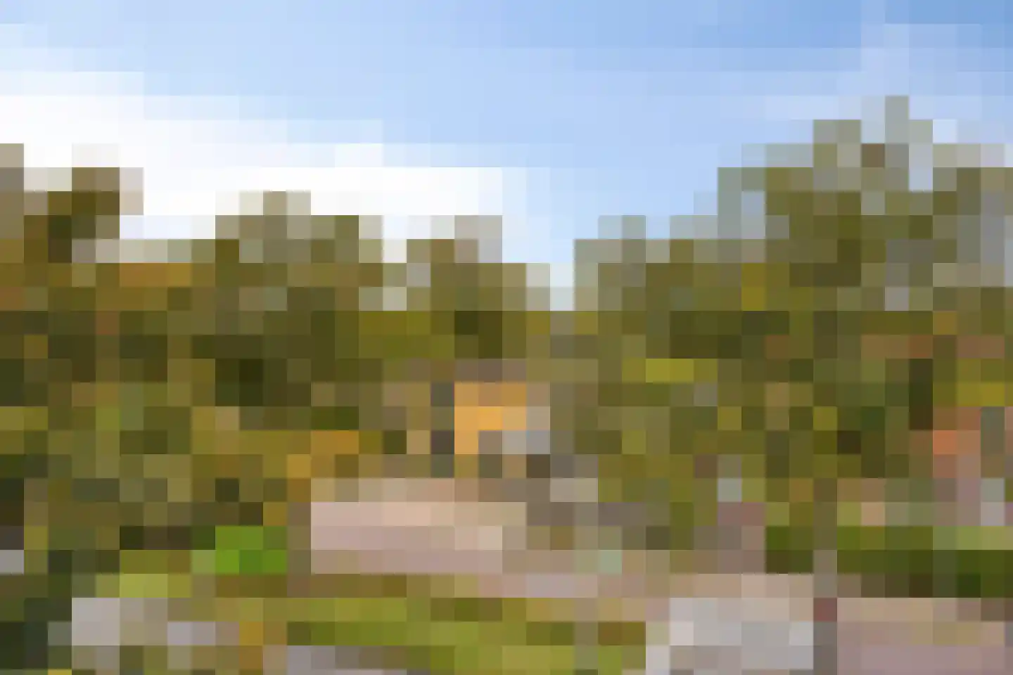 Bergerweg 20 B Bergen (NH) thumbnail 40