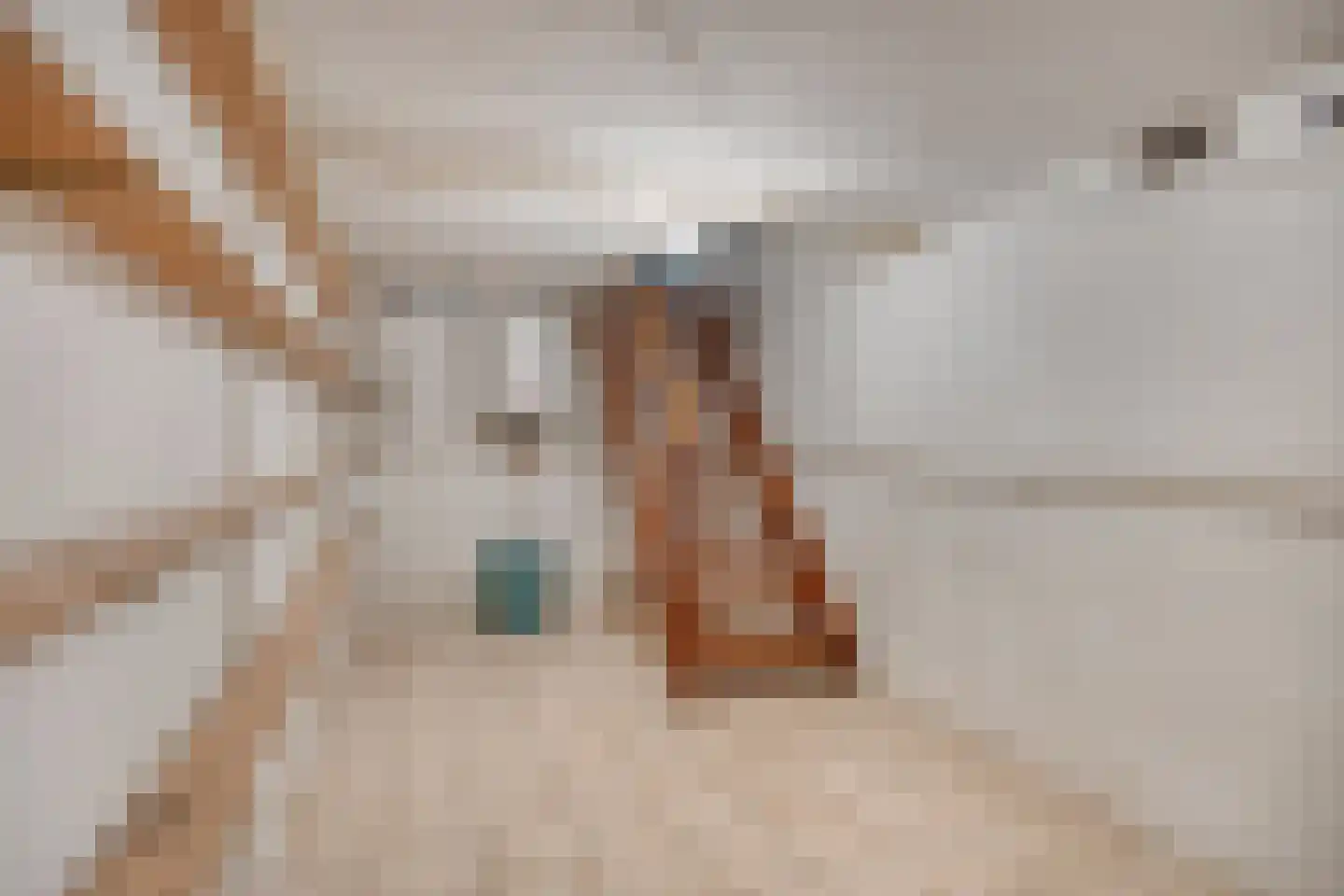 Bergerweg 36 a Vlodrop thumbnail 26