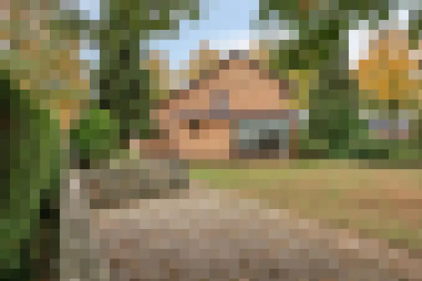 Bergerweg 36 a Vlodrop thumbnail 32