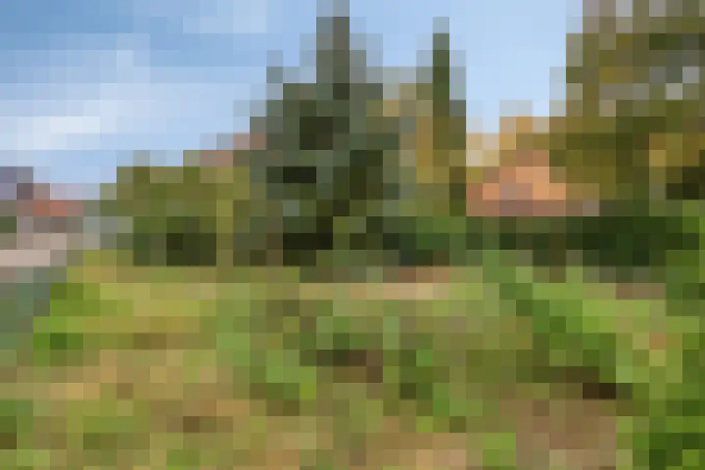 Bergerweg 36 a Vlodrop thumbnail 33
