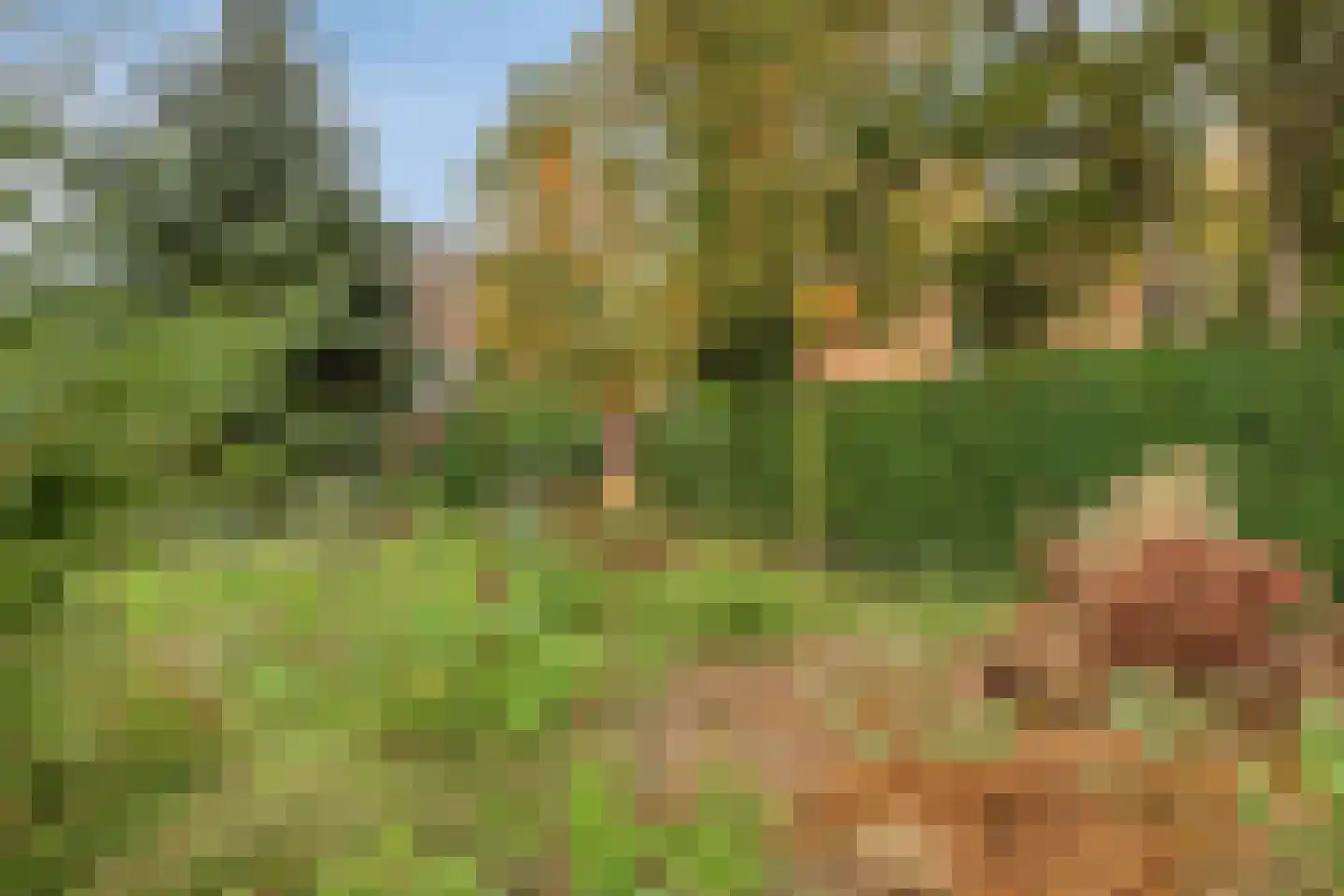Bergerweg 36 a Vlodrop thumbnail 34