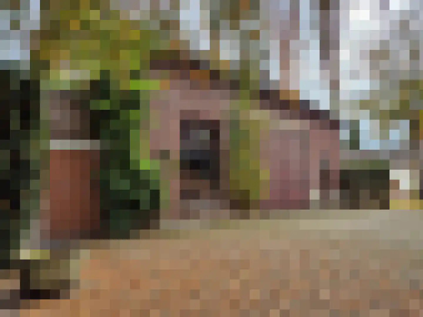Bergerweg 36 a Vlodrop thumbnail 36