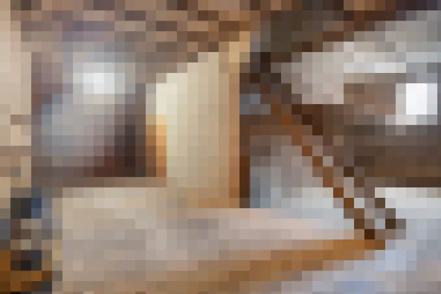 Bergerweg 36 a Vlodrop thumbnail 38