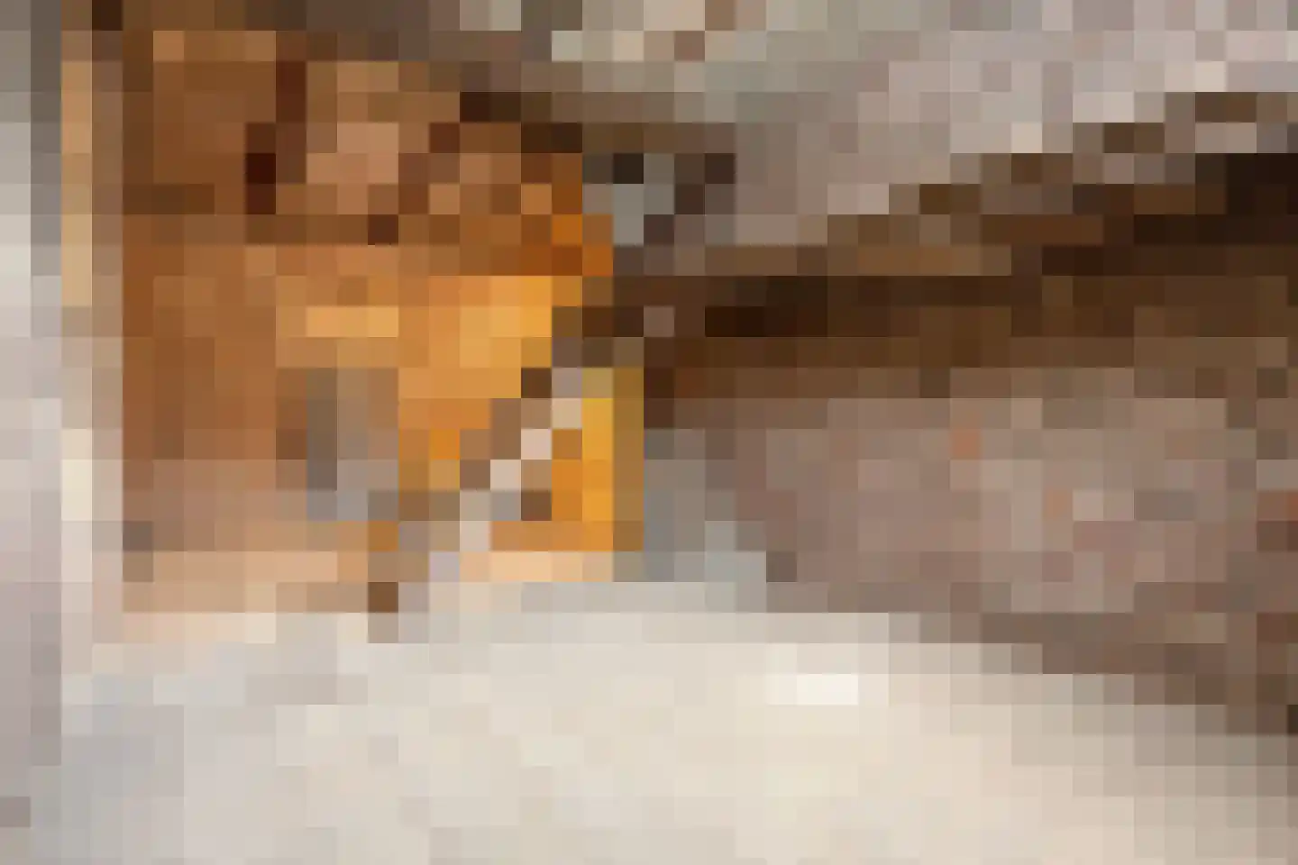 Bergerweg 36 a Vlodrop thumbnail 39