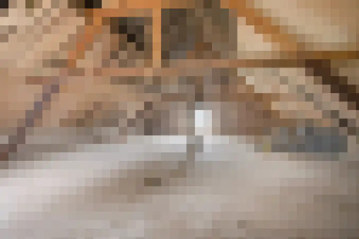 Bergerweg 36 a Vlodrop thumbnail 43