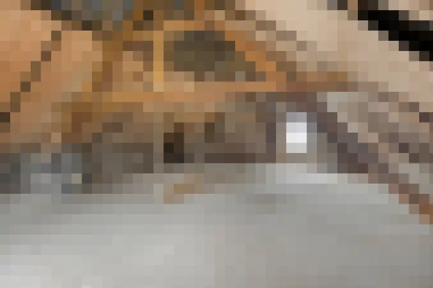 Bergerweg 36 a Vlodrop thumbnail 44
