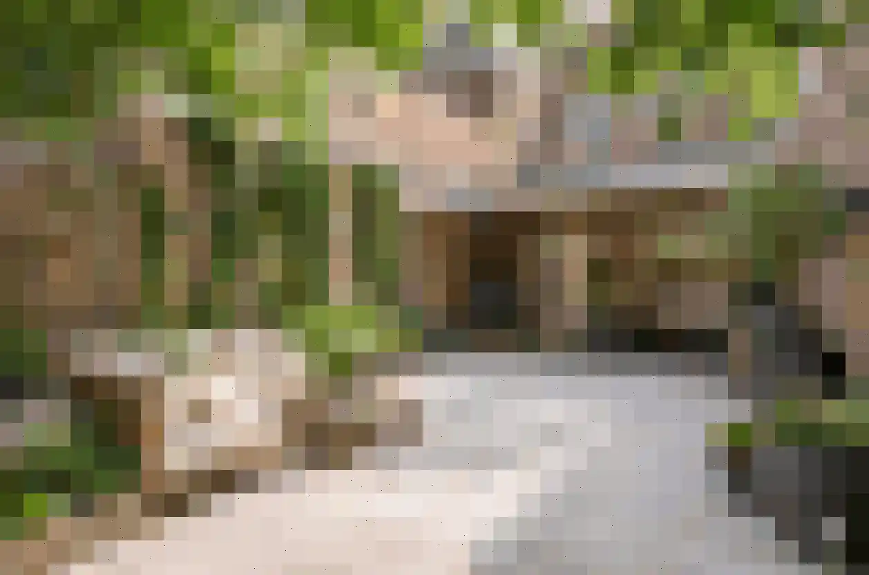 Bergerweg 4 Alkmaar thumbnail 21