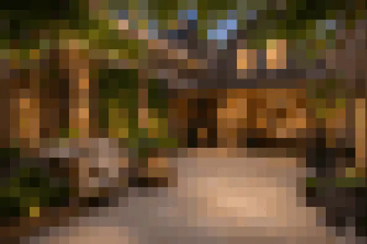 Bergerweg 4 Alkmaar thumbnail 22