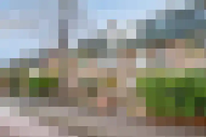 Bergerweg 53 Alkmaar thumbnail 11