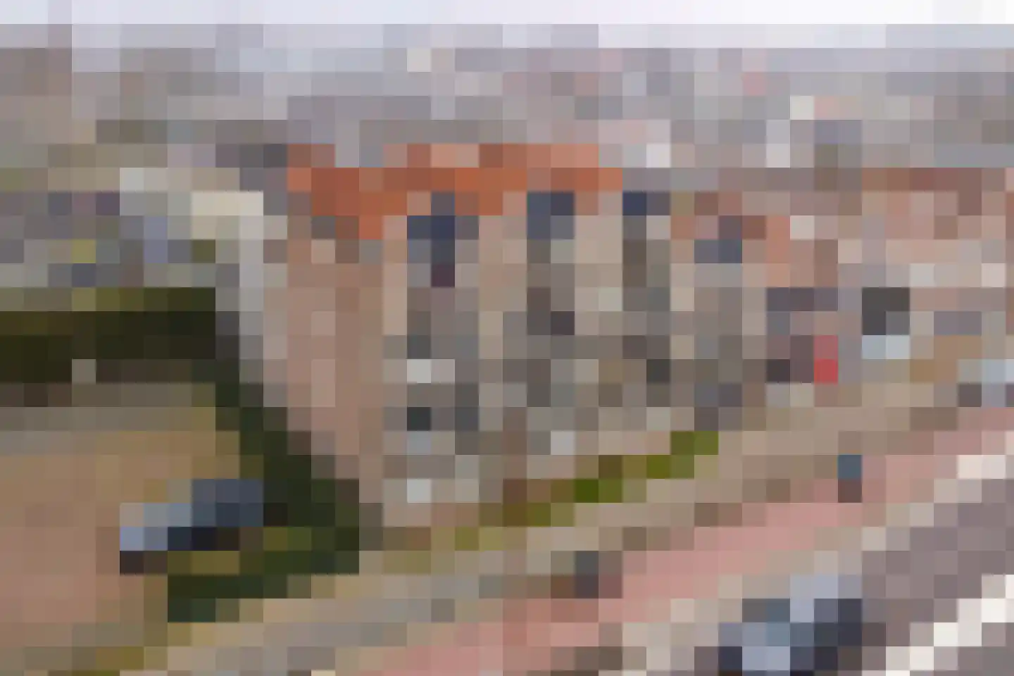 Bergerweg 54 Alkmaar thumbnail 23