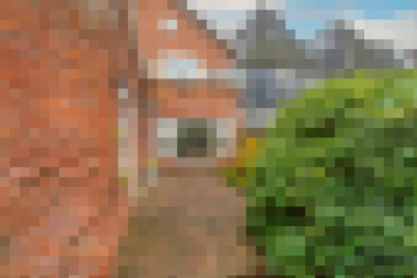 Bergerweg 68 Alkmaar thumbnail 36