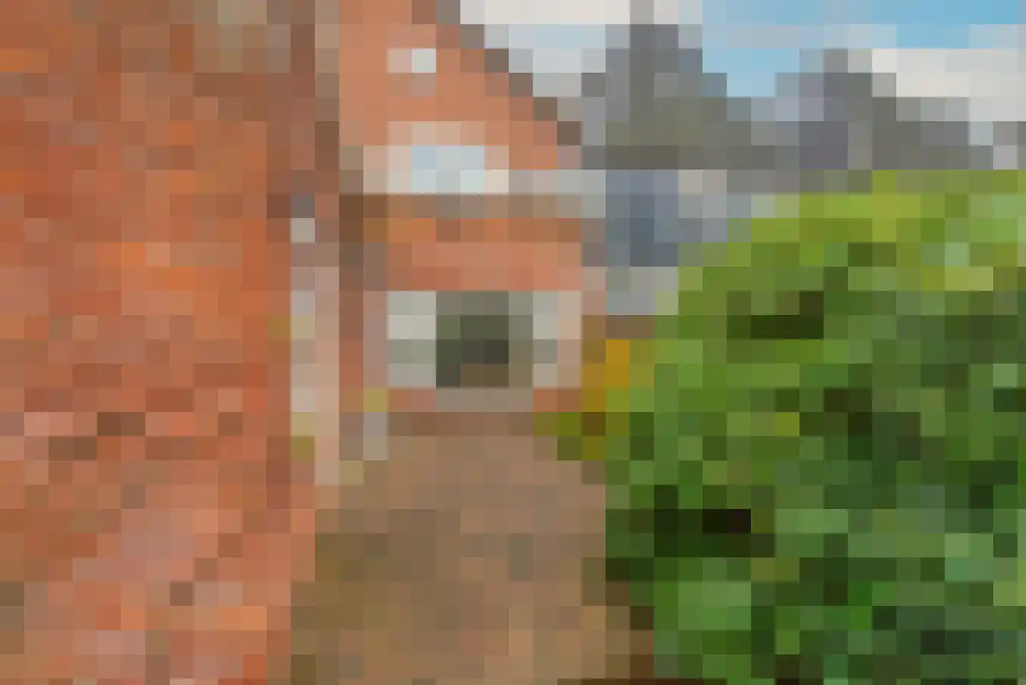 Bergerweg 68 Alkmaar thumbnail 36