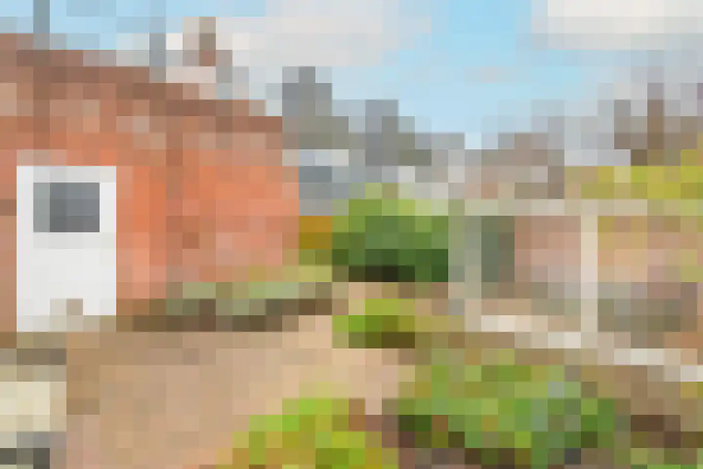 Bergerweg 68 Alkmaar thumbnail 38