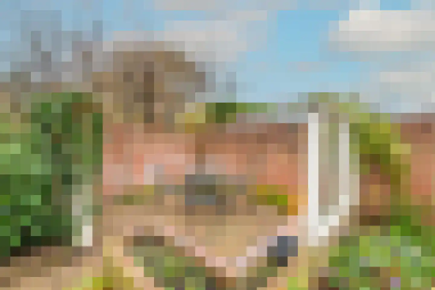 Bergerweg 68 Alkmaar thumbnail 39