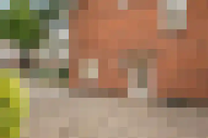 Bergerweg 79 Alkmaar thumbnail 4