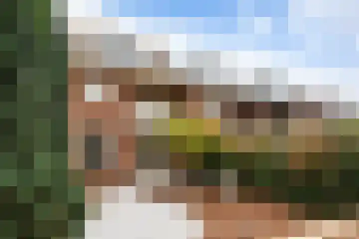 Bergerweg 79 Alkmaar thumbnail 43