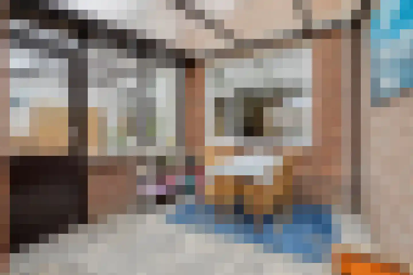 Bergerweg 8 Vlodrop thumbnail 24