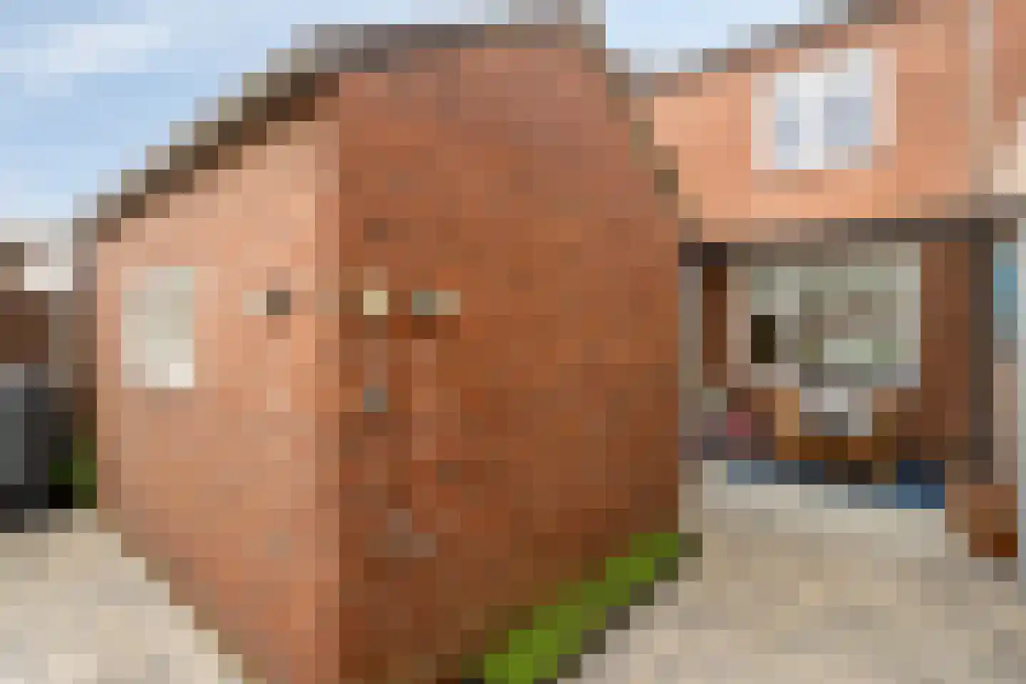 Bergerweg 8 Vlodrop thumbnail 26