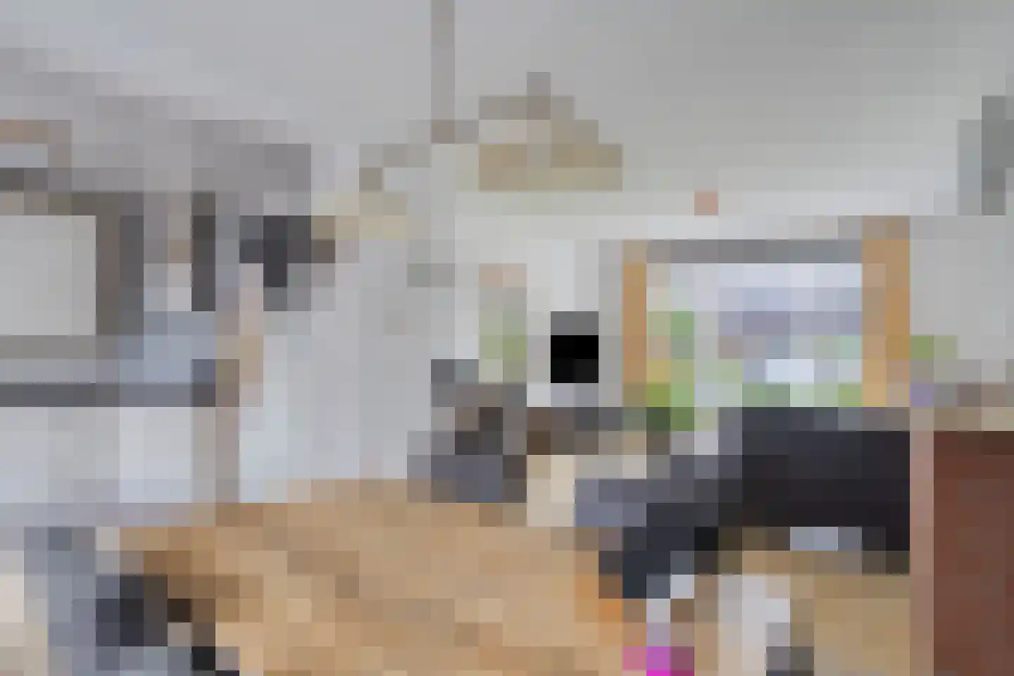 Bergerweg 8 Vlodrop thumbnail 8