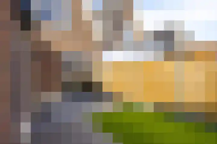 Bergh 2 Boxmeer thumbnail 28