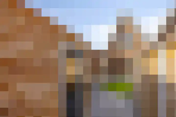 Bergh 2 Boxmeer thumbnail 29
